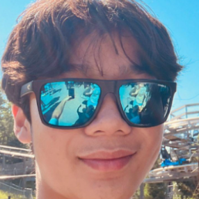 Ronnie Liu